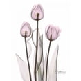 thumbnail image 2 of Koetsier, Albert 12x14 Gold Ornate Wood Framed with Double Matting Museum Art Print Titled - Early Tulips in Lavender, 2 of 4
