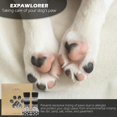 thumbnail image 3 of Calcetines para perros EXPAWLORER, antideslizantes, para perros, 3 of 7