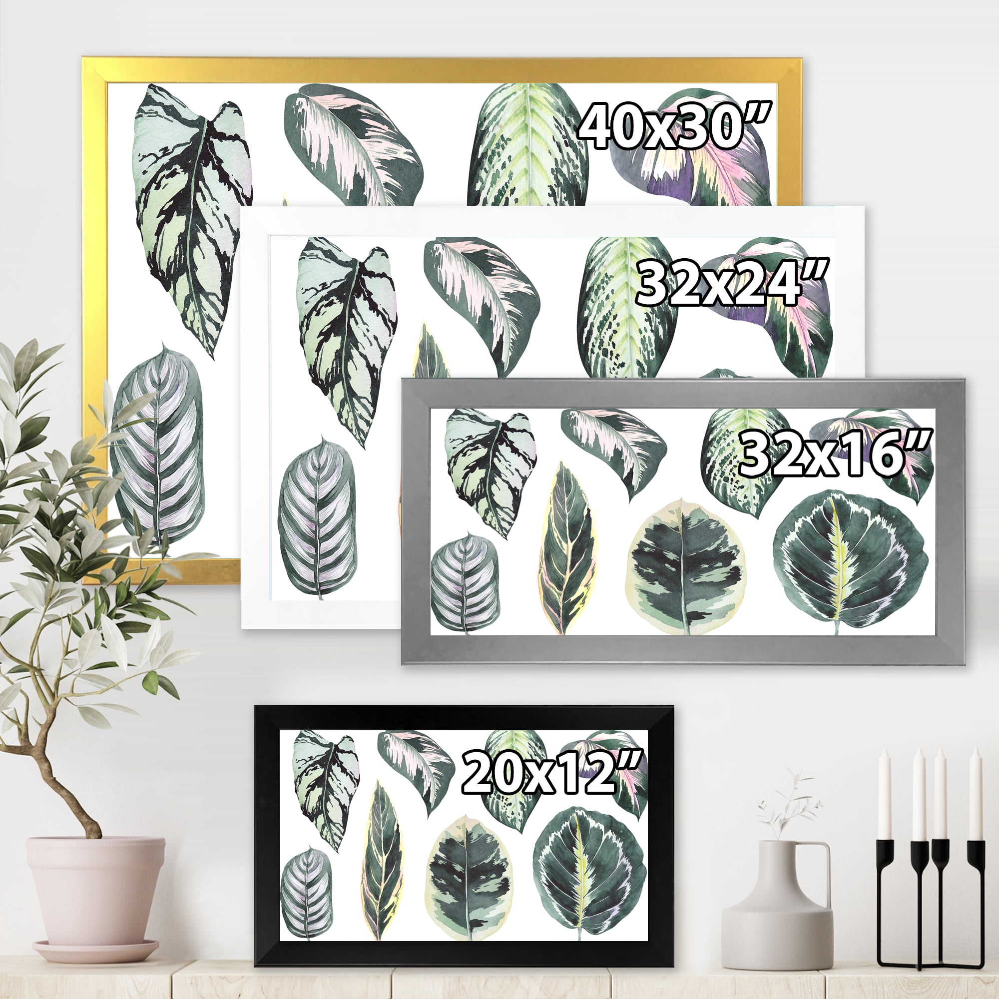 Designart 'Tropical Calathea Leaves On White' Bohemian & Eclectic Framed Art Print