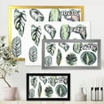 thumbnail image 4 of Designart 'Tropical Calathea Leaves On White' Bohemian & Eclectic Framed Art Print, 4 of 4