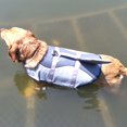 thumbnail image 3 of Gilet de Sauvetage Réfléchissant pour Chien Haute Visibilité avec Flottabilité pour la Natation et les Activités Aquatiques, 3 of 9