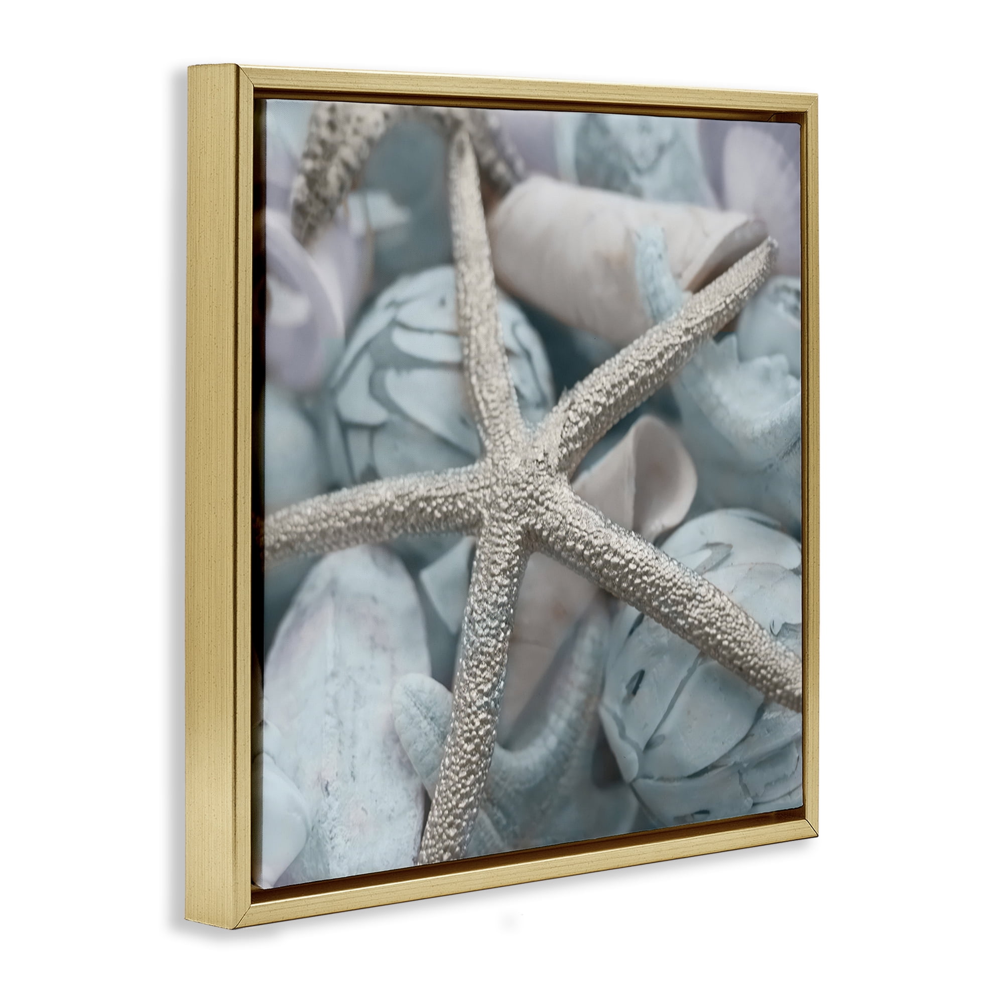 Stupell Industries Starfish & Various Shells Nautical & Beach Photography Gold Floater Framed Canvas Art Print Wall Art, 25 x 25