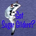 thumbnail image 3 of CafePress - Sugar Glider T Shirt - Womens Tri-blend T-Shirt, 3 of 4