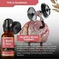 thumbnail image 4 of Herbal Goodness Brain & Focus, Plant-Based Cognitive Support, Mental Clarity, Focus & Memory Supplement for Brain, Lion's Mane Mushroom - 1oz, 4 of 9