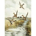 thumbnail image 2 of Frank Weston Benson 14x18 Black Ornate Wood Framed Double Matted Museum Art Print Titled - Rising Mallard (1922-1926), 2 of 5