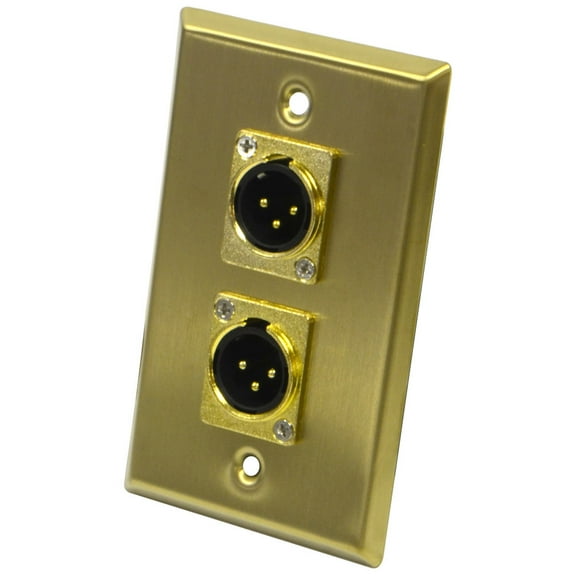 Seismic Audio  - Gold Stainless Steel Wall Plate - Dual XLR Male Connectors Gold - SA-PLATE18