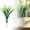 B, variant on Flowers Tall Tropical Bright Leaves Decorative Indoor Outdoor Courtyard Porch Garden Beautification for All Seasons