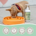 thumbnail image 7 of Natural Dog Company Liquid Glucosamine Hip & Joint Oil for Dogs, 16 oz, 7 of 7