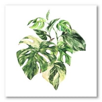 Designart ' Tropical Green Leaves On White In Summer Times I ' Tropical Canvas Wall Art Print