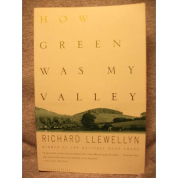 Pre-Owned How Green Was My Valley (Paperback) 0684825554 9780684825557