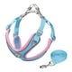 thumbnail image 1 of Conjunto de arnés y correa para perro, chaleco de malla fácilmente acolchado, correa de pecho transpirable, reflectante, ajustable para , entren Azul, 1 of 6