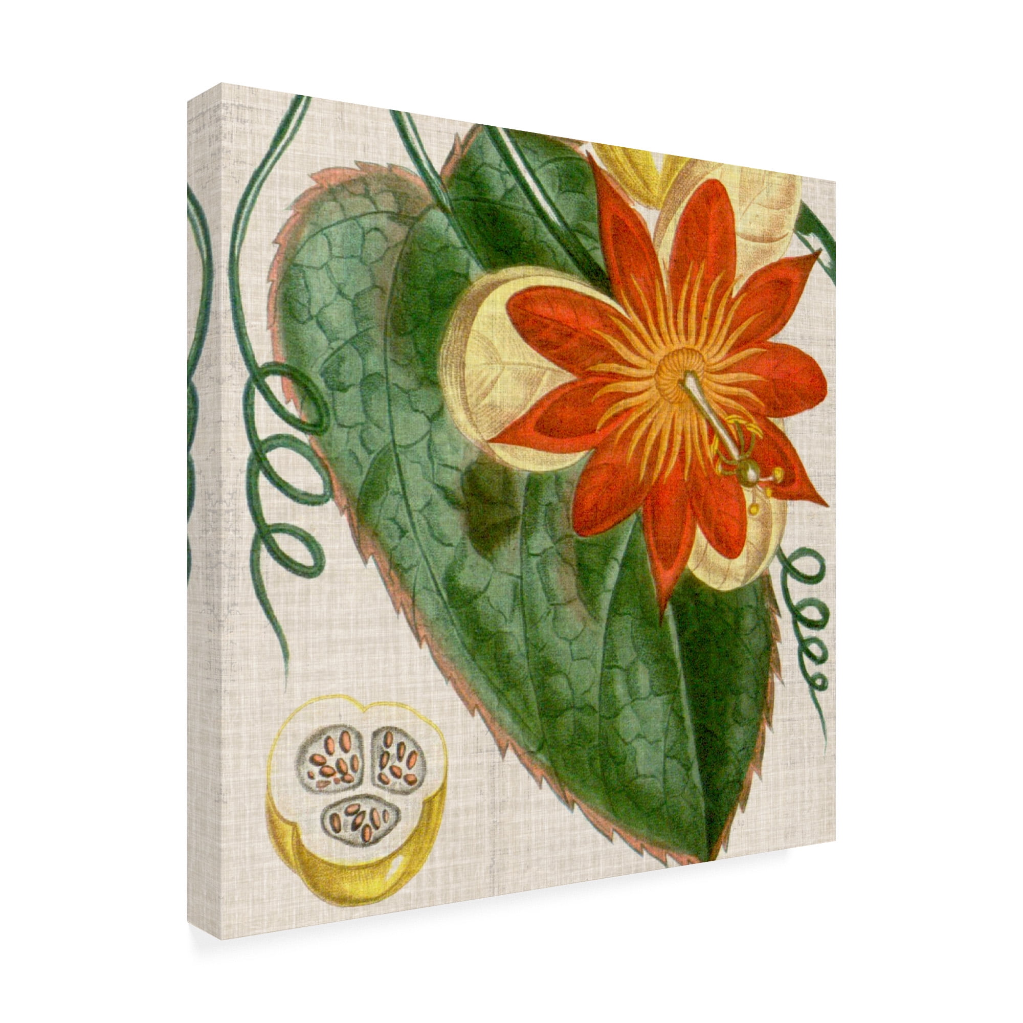 Trademark Fine Art 'Cropped Turpin Tropicals I' Canvas Art by Vision Studio