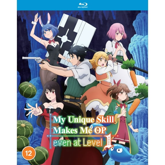 My Unique Skill Makes Me OP even at Level 1 - The Complete Season (Blu-ray) Kaito Ishikawa