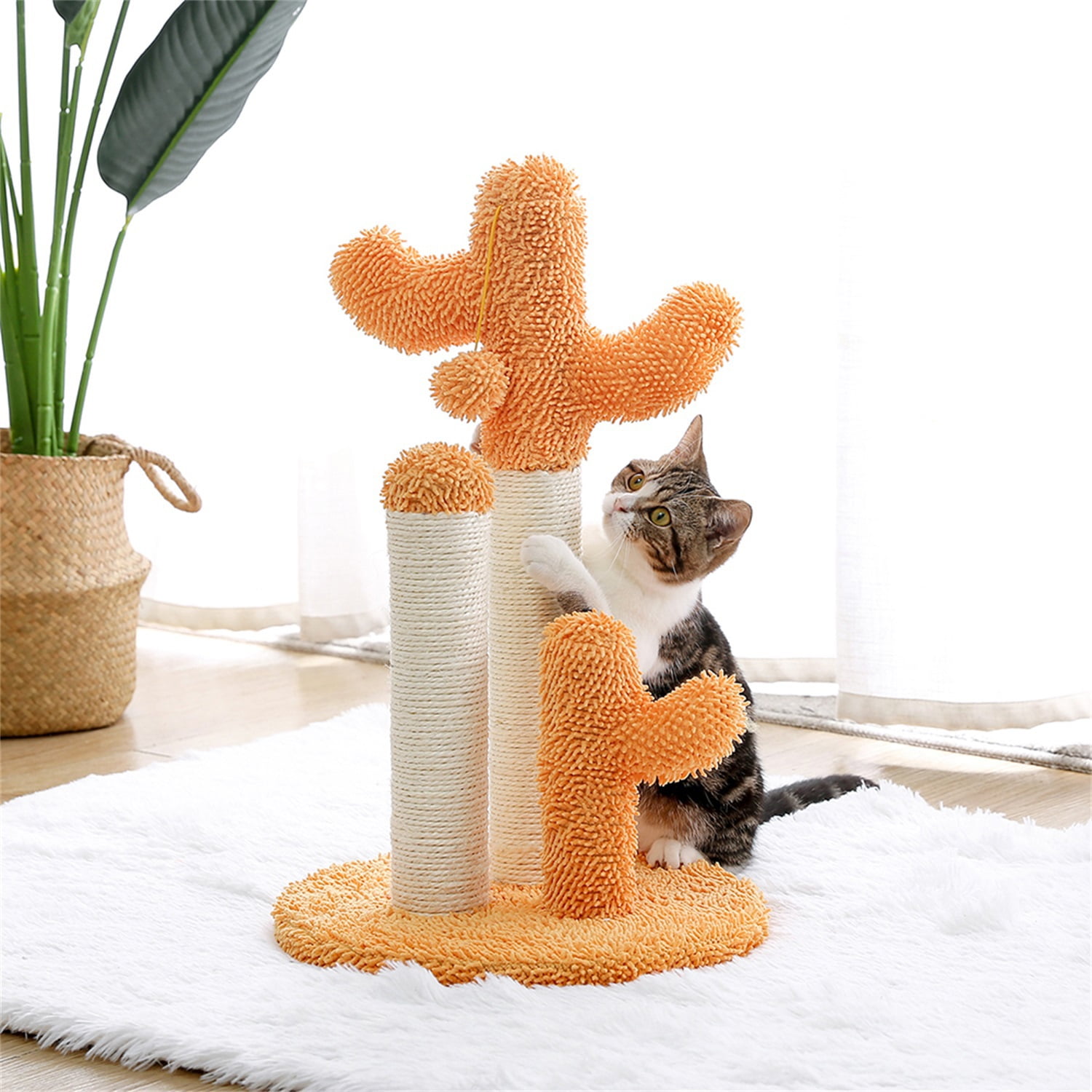Pefilos Cat Scratching Post for Indoor - Cat Scratching Post for Adult Cats Cactus Sisal Rope Cat Scratcher with Hanging Ball Cat Scratching Post for Furniture, Orange Pefilos Cat Scratching Post for Indoor - Cat Scratching Post for Adult Cats Cactus Sisal Rope Cat Scratcher with Hanging Ball Cat Scratching Post for Furniture, Orange