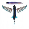 thumbnail image 4 of Nomad Slipstream Flying Fish 200 Pack, 8" PHT - Phantom, 4 of 6