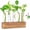 Beige, variant on KAXYEW Plant Propagation Station, Plants Propagation Tubes, Gifts for Plant Lovers, Plants Cutting Holder Test Tube Vase Office Desk Garden Décor Gift for Her Mom Women Hydroponic Vase New Gift Box