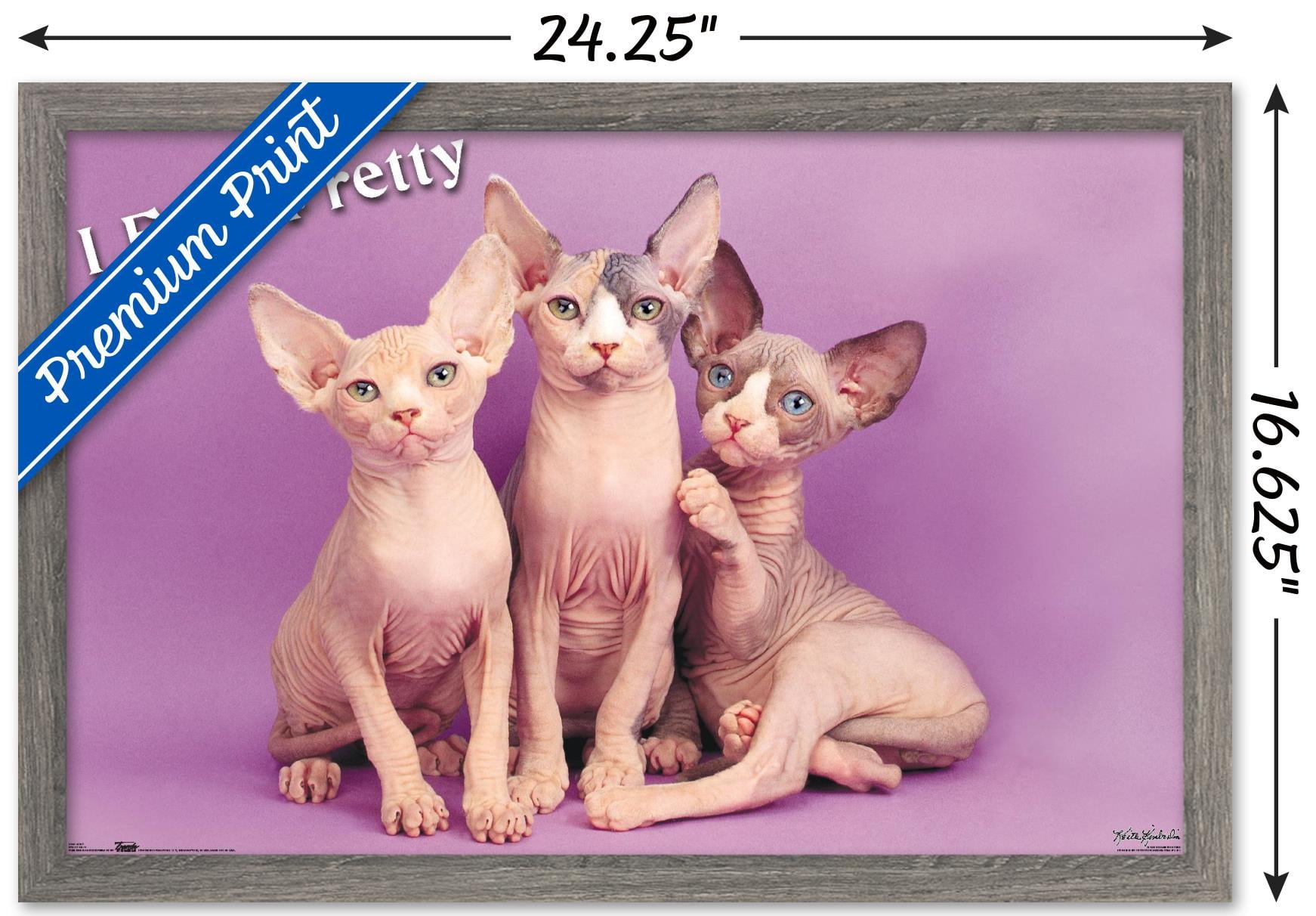 Keith Kimberlin - Kittens - Pretty Kitty Wall Poster, 14.725" x 22.375", Framed