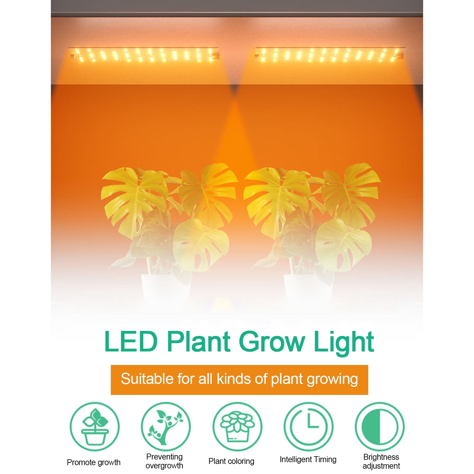 Japan Power Plant LED Quantum Board セット Know About Quantum