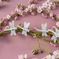 thumbnail image 3 of zhangmingg Orchid Support Transparent Garden Climbing for Indoor Outdoor Use Strong Flexible Rattan, 3 of 4