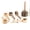 A, variant on Wooden Coffee Spoon Ergonomic Short Long Handle Coffee Measuring Spoon Farmhouse Rustic Multifunctional Scoop Kitchen Gadgets