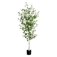 thumbnail image 2 of Nearly Natural Artificial Birch Potted Tree - 7' - Green, 2 of 7