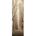 thumbnail image 2 of Blaustein, Alan 7x14 White Modern Wood Framed Museum Art Print Titled - Poplar Trees, 2 of 4