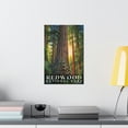 thumbnail image 4 of ELNEIT - Redwood National Park Poster, Unframed Matte Paper, S02, 4 of 4