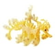 thumbnail image 4 of Figuras De Animales Marinos Modelo De Dragón Marino Manualidades Para Regalos De Cumpleaños Pequeños Amarillo+Figuras De Animales Marinos Modelo De Dragón Marino Manualidades Para, 4 of 9