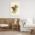 thumbnail image 4 of Stupell Industries Cottage Fir Tree Cones Canvas Art, 24 x 36, by Tina Higgins Designs Inc., 4 of 8