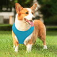 thumbnail image 4 of MoNiBloom No Pull Dog Harness, Pet Vest Adjustable Mesh Breathable Harnesses for Dogs Walking, Sky Blue M, 4 of 8