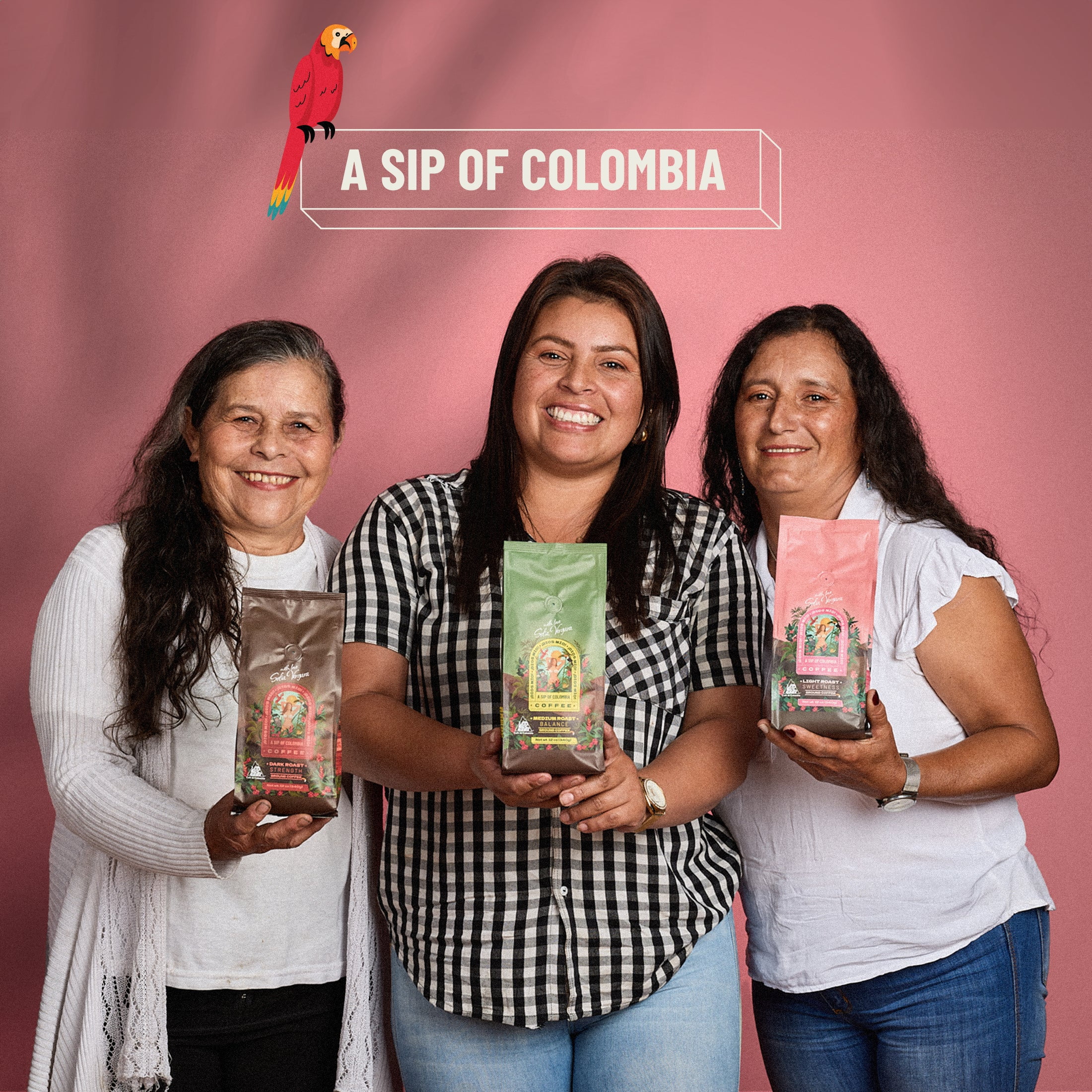 Dios Mio Coffee by Sofia Vergara, Premium Whole Bean Colombian Coffee, Light Roast , 12oz (pack of 3)