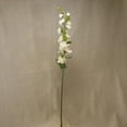 thumbnail image 2 of 1 Pc, 37.5 Inch Artificial Delphinium Stem To Add Color To Floral Arrangement/Home Decoration - Cream, 2 of 5