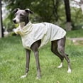 thumbnail image 3 of HQREA Sun Protection Dog Shirt, Quick Dry Sleeveless Thin T-Shirt for Italian Greyhound, 3 of 5