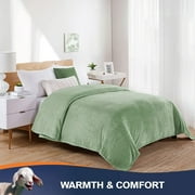 Walensee Ultra Soft Microplush Fleece Throw Blanket, 90 x 108, Sage Green, Machine Washable