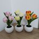 thumbnail image 3 of Lámpara de maceta de tulipán LED, maceta de flores de simulación de tulipán rosa, luz de noche de ambiente LED de cerámica, adornos decorativos, 3 of 6