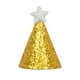 thumbnail image 1 of Sombrero de fiesta ajustable con purpurina para mascotas - Poliéster, decoración de estrellas, para perros pequeños/gatos/cumpleaños, 1 of 3