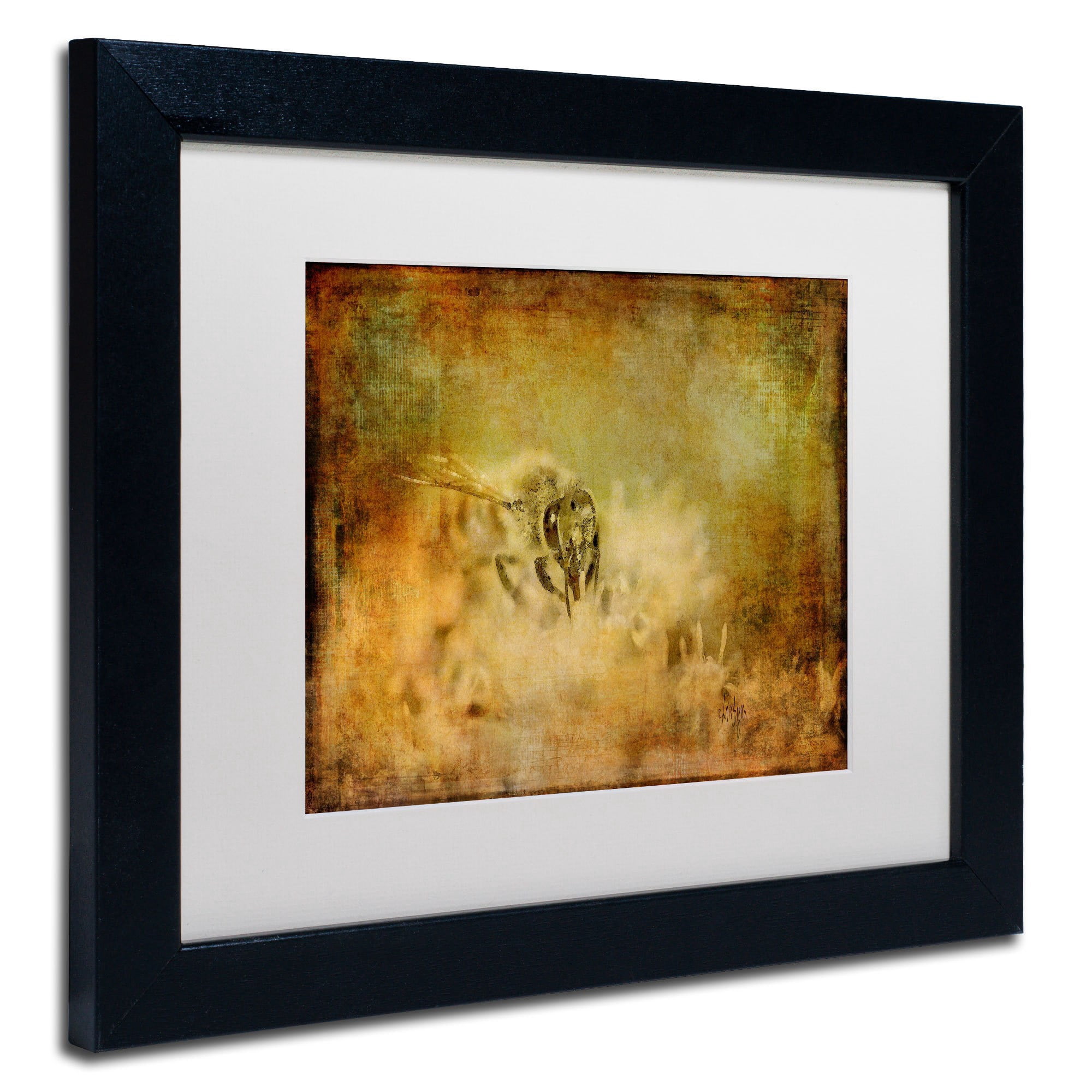 Trademark Fine Art Lois Bryan 'Send the Bees Love' 16 x 20 Framed Art Print (LBR0282-B1620MF)