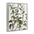 thumbnail image 4 of Stupell Industries Rustic Botanical Vines Botanical & Floral Painting Gray Framed Art Print Wall Art, 11 x 14, 4 of 10