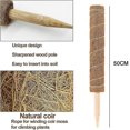 thumbnail image 3 of Set Of 2 Coconut Stakes - For Climbing Plants - Natural Coconut Fiber - Extendable, 3 of 5