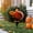 A, variant on Thanksgiving Turkey Garden Stake, Festive Fall Yard Decoration for Lawn, Garden, Pathway and Outdoor Harvest Party Decor, Autumn Seasonal Home Accent
