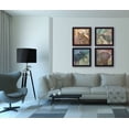 thumbnail image 3 of "Wildlife Collection" par Barb Tourtillotte Art Mural Encadré Imprimé, 3 of 3