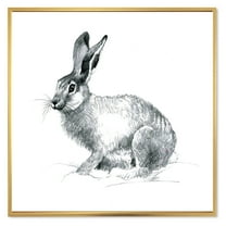 Designart 'Black and White Portrait Of Rabbit' Farmhouse Framed Canvas Wall Art Print