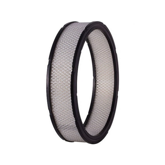 Air Filter - Compatible with 1967 - 1977 Pontiac Grand Prix 1968 1969 1970 1971 1972 1973 1974 1975 1976