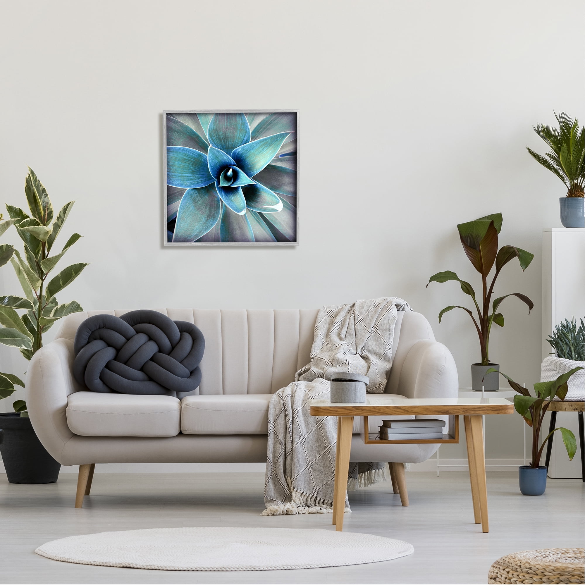 Stupell Modern Close Up Plant Leaves Botanical & Floral Photography Gray Framed Art Print Wall Art