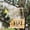 color-Free Size/, variant on FHBVT Wooden Outdoor Bird Feeder Stand 9.45in Seat Shape with Feeding Tray Drainable Ventilated Structure for Outside Garden Yard Patio Porch Wild Bird Feeding Station Backyard Decorative Bird Feeder