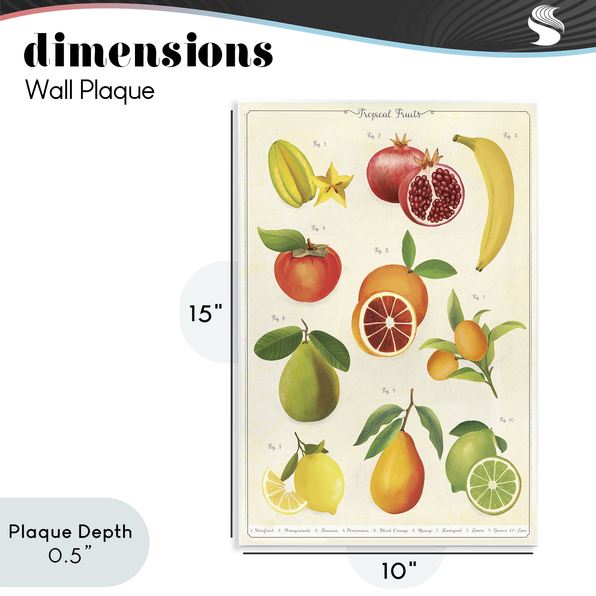 Stupell Industries Vintage Tropical Fruit Studies Wall Plaque Art, design by Diane Neukirch