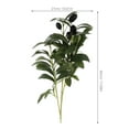 thumbnail image 2 of Raindrops 2pcs Artificial Olive Branches Fake Olive Branches Decorative Artificial Plants Flower Arrangement Stem, 2 of 8