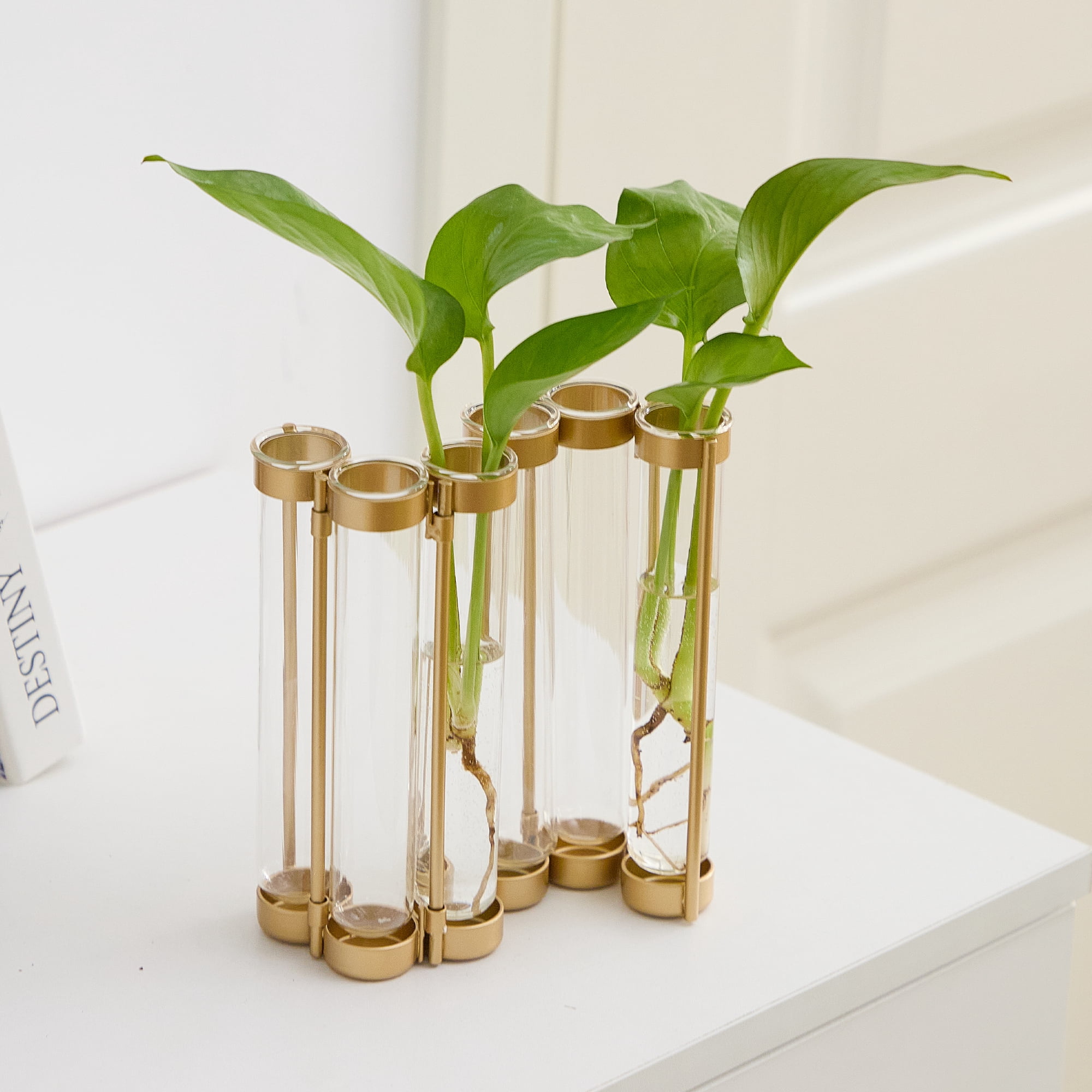 Better Homes & Gardens Gold Metal Propagation Station 6 Tubes