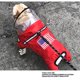 thumbnail image 3 of Chubasquero con cara de perro con sombreros, ropa reflectante a prueba de lluvia para mascotas, sudaderas con capucha, chaqueta de lluvia, abrigo para perros pequeños y medianos, ropa, disfraz, 3 of 3