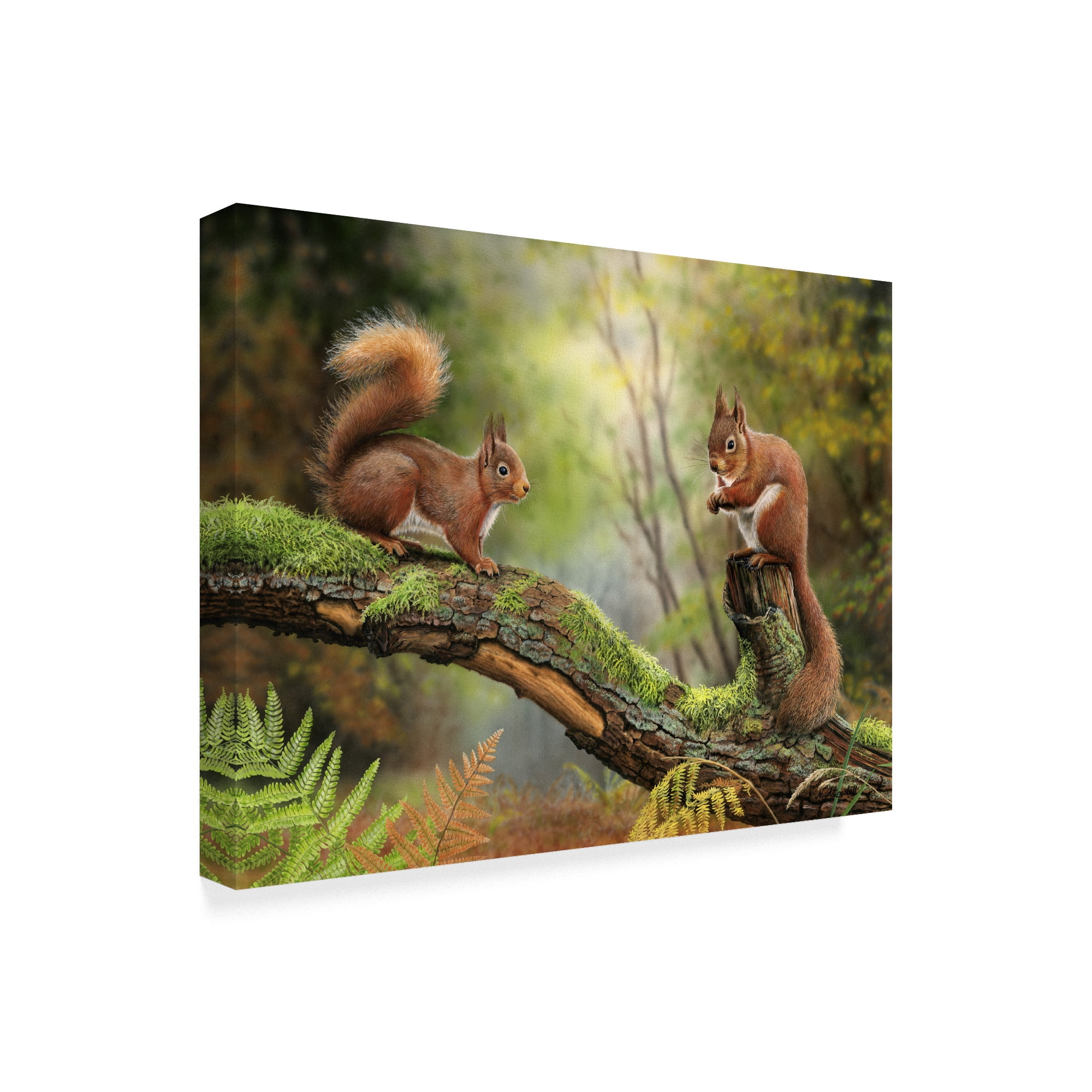Trademark Fine Art 'Red Squirrels' Canvas Art by Nigel Artingstall